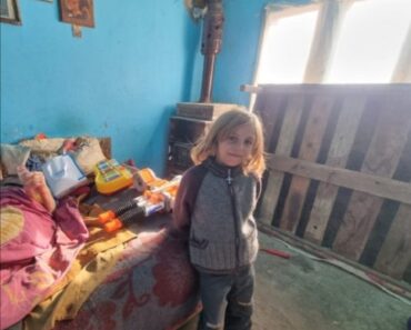 Au nevoie de noi! Cei cinci fratiori din comuna Tataru, abandonati de parinti: „Ploua direct pe pat, iar pe jos avem noroi. Ne inghesuim cu bunica, pana s-o usca salteaua”