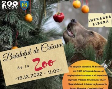 Primaria Ploiesti si Parcul Bucov invita copiii sa impodobeasca „Bradutul de Craciun de la ZOO”