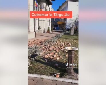 VIDEO Pagubele produse de cutremur în România: tencuială căzută, cărămizi dislocate, sticle sparte în magazine
