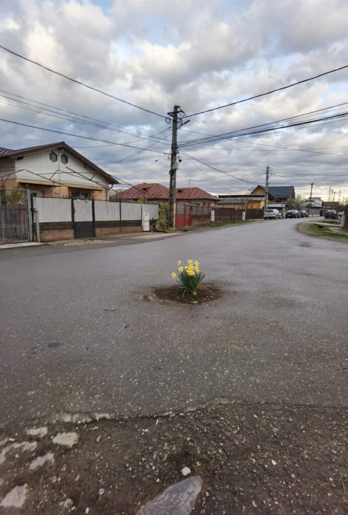 Poza zilei, în Ploieştiori/ Un crater în asfalt „a înflorit” peste noapte