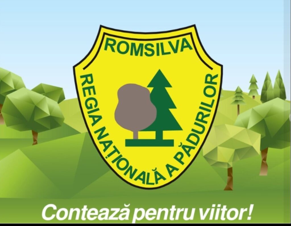 INFORMARE Romsilva (Directia Silvica Prahova): se solicita aviz pentru „Corectare torenti din bazinul hidrografic Ermeneasca”
