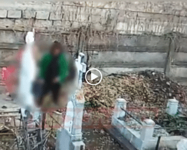Ploieşti/ Minor surprins în timp ce se masturba în cimitirul Bolovani