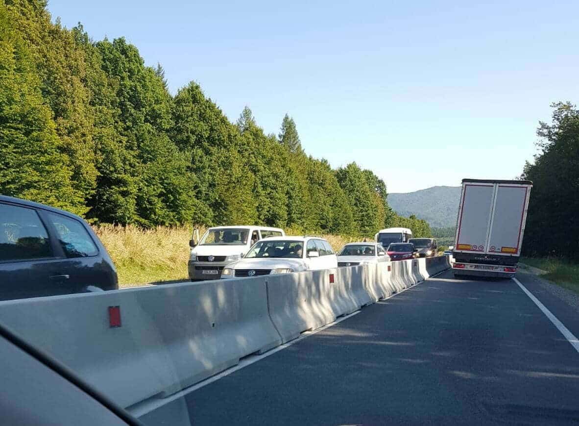 DN 1 este complet blocat: un copac a căzut pe carosabil în zona staţiunii Sinaia