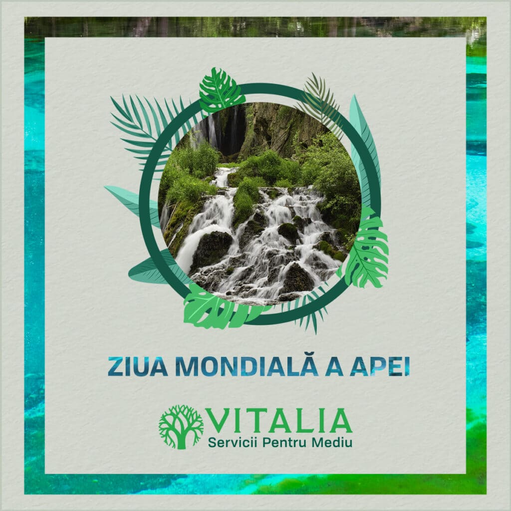 Fără apă nu ar exista nimic pe Pământ