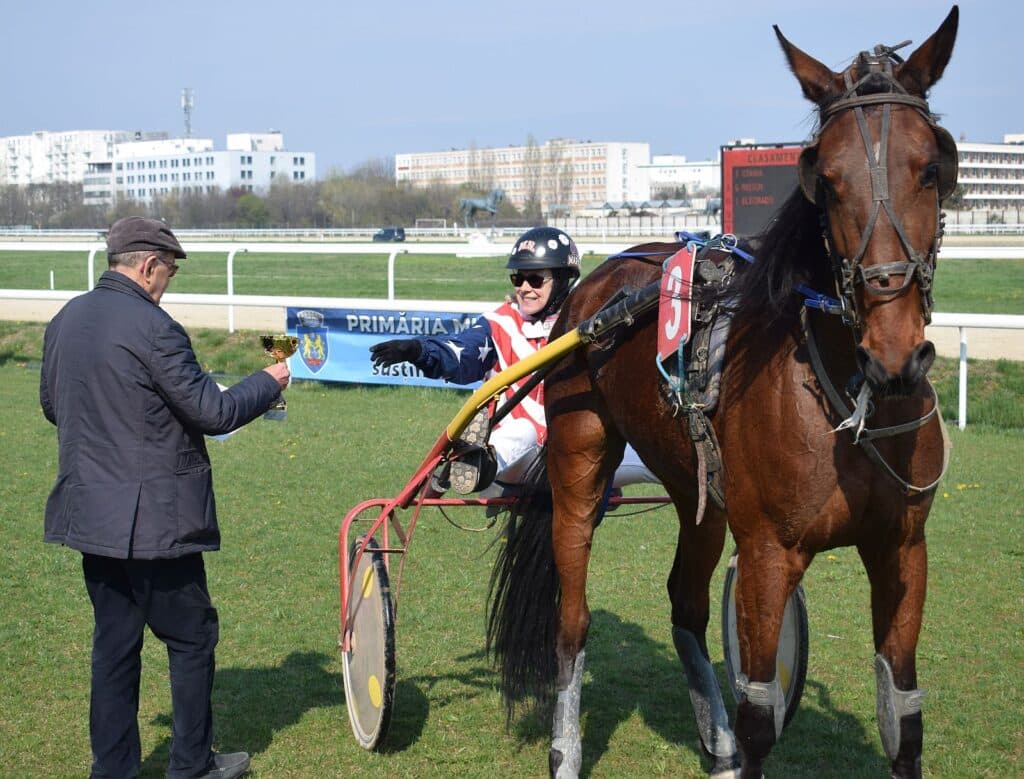 Armăsarul New Jersey s-a remarcat de Florii