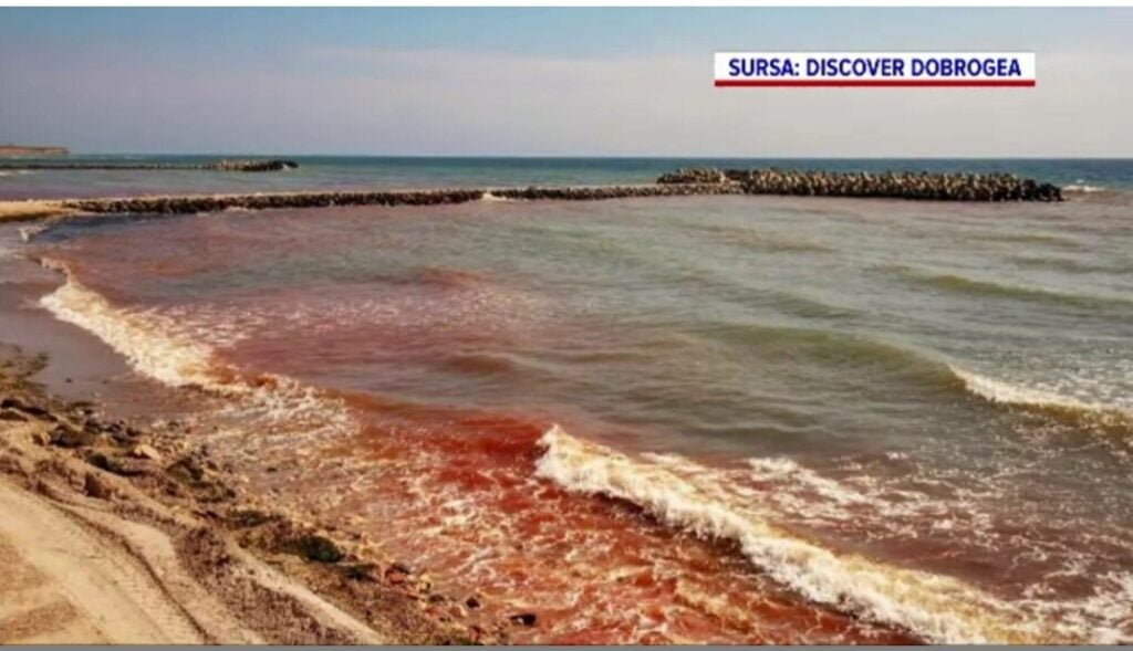 Marea Neagră a devenit roșie. Fenomen extrem de rar pe litoralul românesc