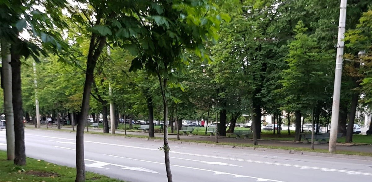Un tronson al celui mai cunoscut bulevard ploieștean se modernizează Un tronson al celui mai cunoscut bulevard ploieștean se modernizează