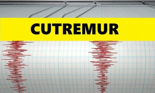 Cutremur în România, vineri dimineață. Ce magnitudine a avut seismul