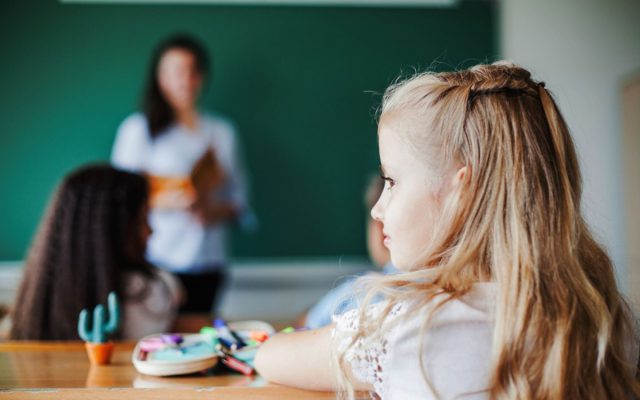 Programul Școală după școală cu masă inclusă și școli în care elevii să învețe într-un singur schimb nu se poate generaliza în următorii șase ani, spune ministrul Ligia Deca / Amendamentele în acest sens ale USR au fost respinse