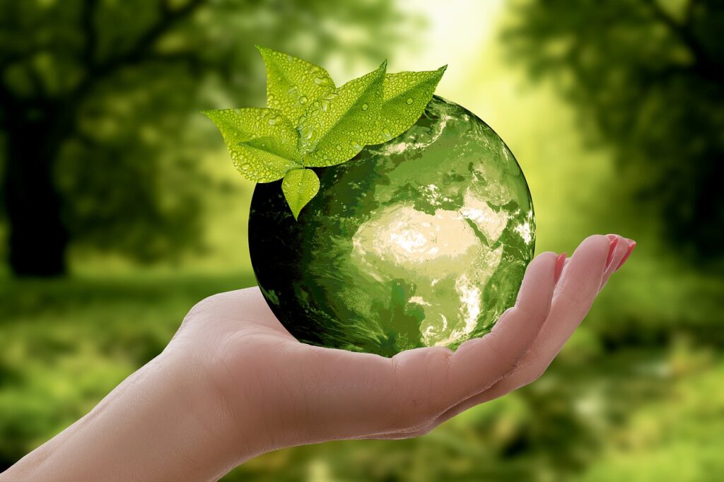 Agenția Europeană de Mediu cere reducerea utilizării pesticidelor, care sunt încă vândute