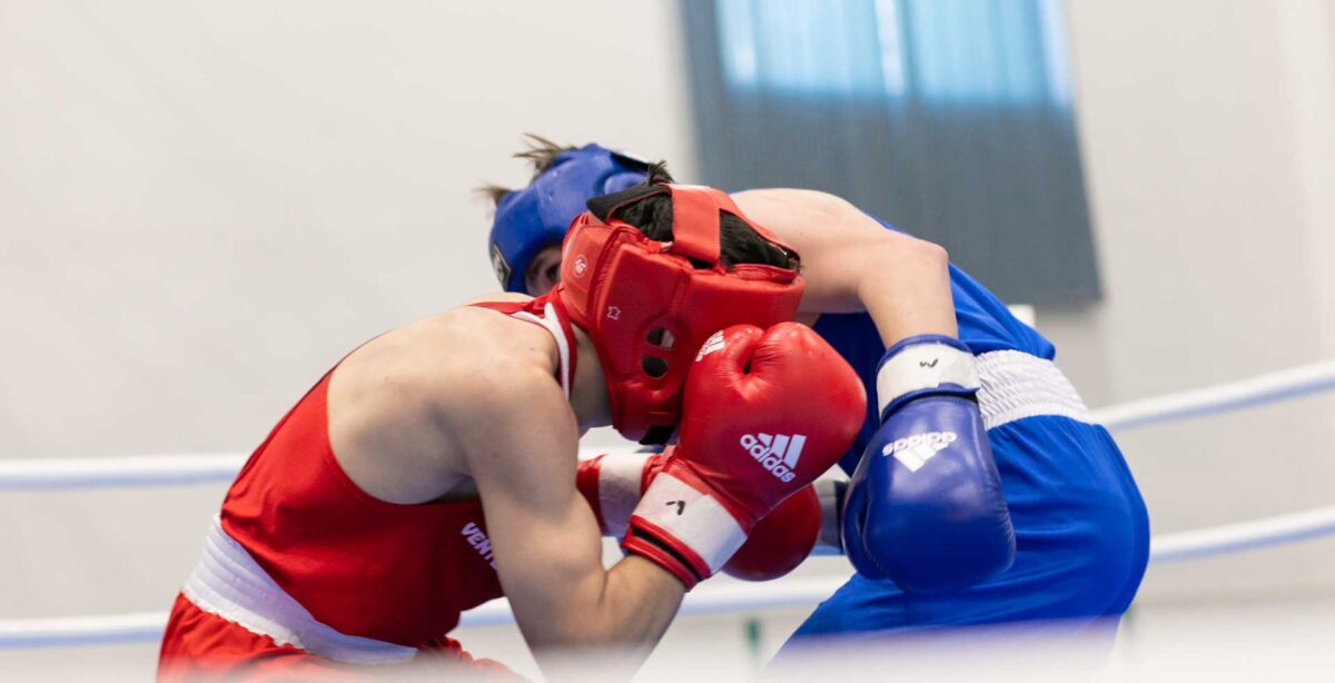 Rundă intensă pentru Titi Tudor și boxerii săi