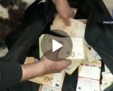 Perchezitii in Prahova la persoane acuzate de trafic de migranti si spalare de bani