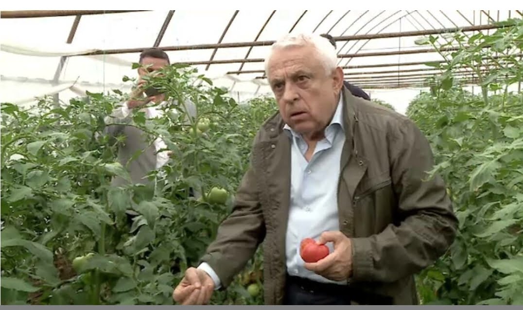 Petre Daea, în control inopinat la agricultori. Mai mulți fermieri ar folosi substanțe interzise pentru a grăbi coacerea roșiilor