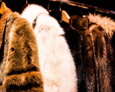 Adio haine de blană în România! Legea care va interzice acest lucru a trecut de Senat
