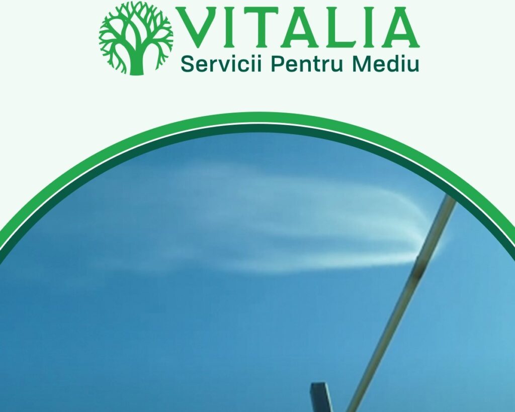 Efectele ambalajelor asupra mediului