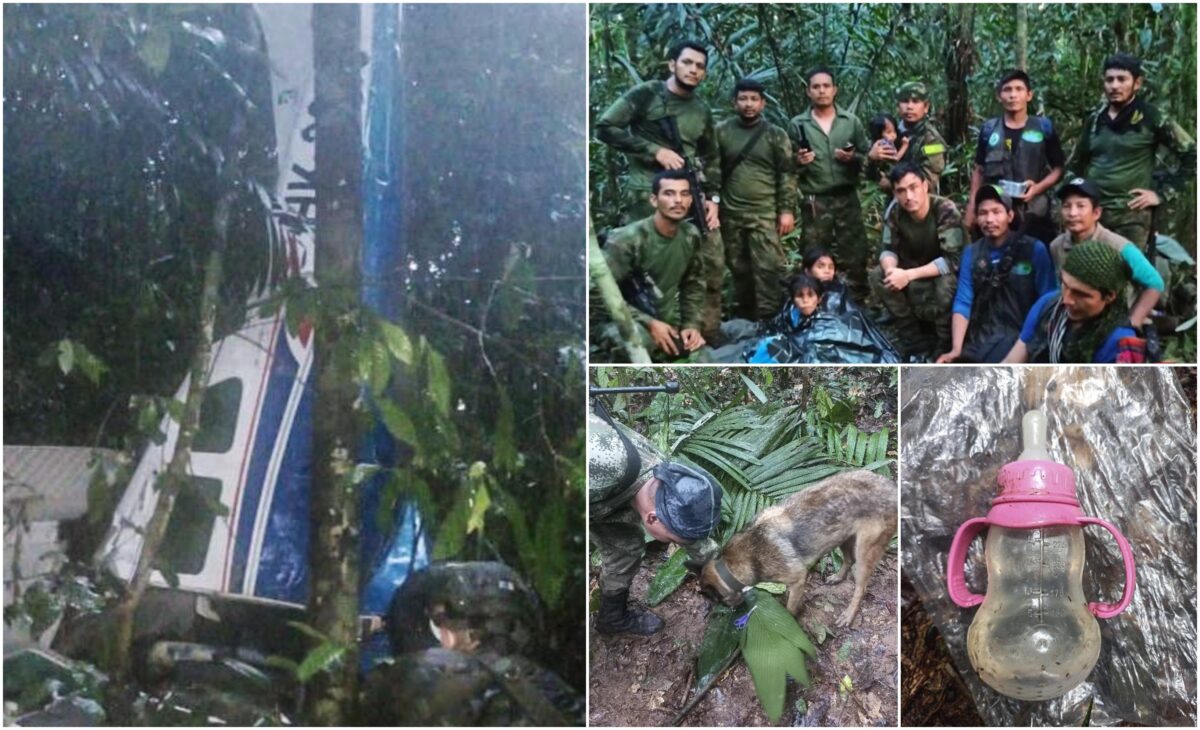Lecţie de supravieţuire incredibilă: Cum au rezistat timp de 40 de zile cei 4 copii mici, între care un bebeluş, după ce avionul lor s-a prăbuşit în junglă