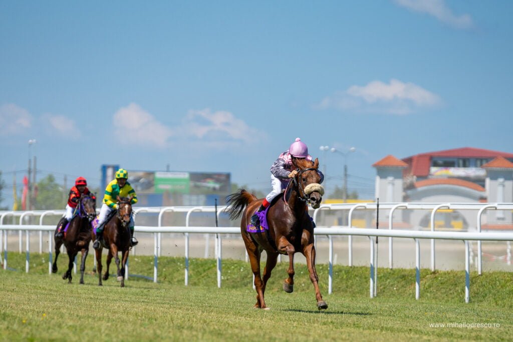 O nouă reuniune cu trap și galop