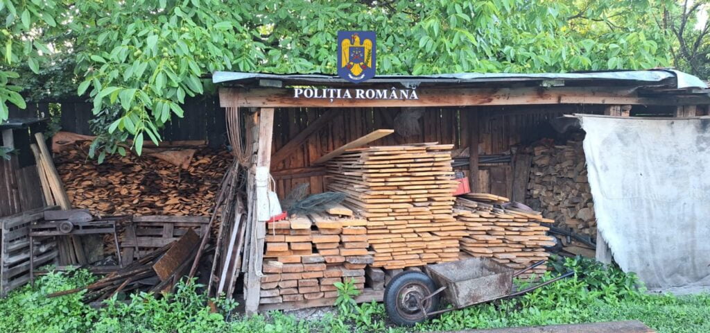Perchezitii in Valenii de Munte la o grupare infractionala acuzata de furt de arbori, delapidare si fals intelectual