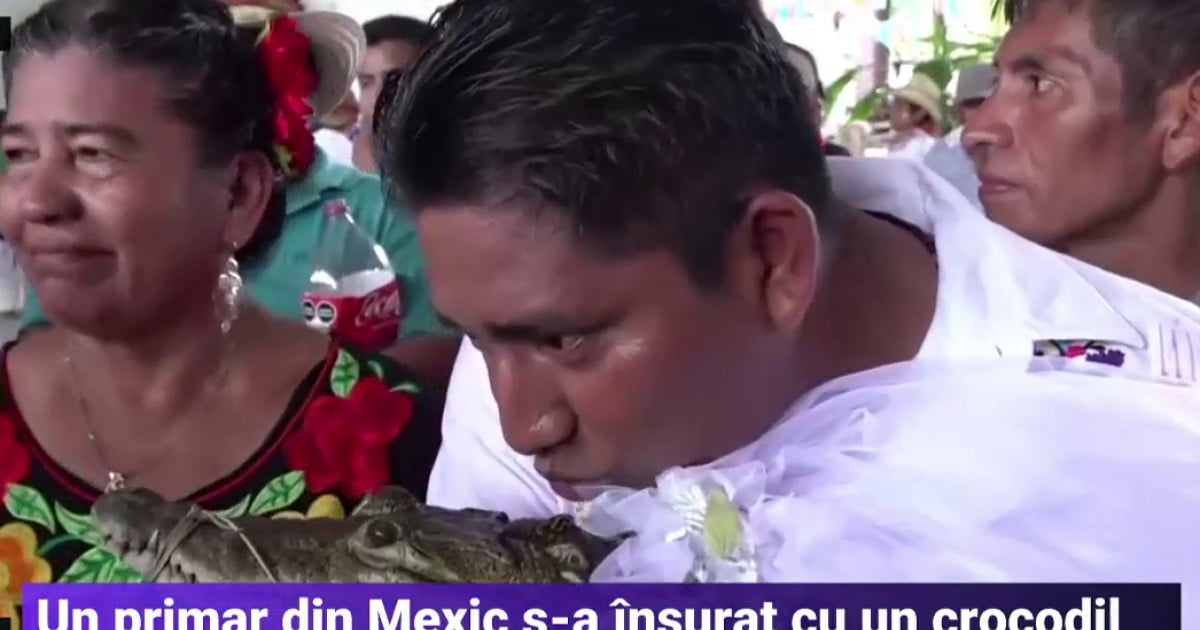 Primarul unui oraș din Mexic s-a însurat cu un crocodil. În timpul ceremoniei, nuntașii i-au cerut să sărute „mireasa”