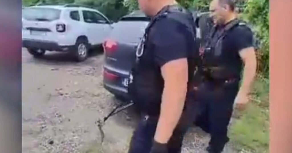 VIDEO. Un întreg județ este în alertă din cauza viperelor. Recomandările specialiștilor