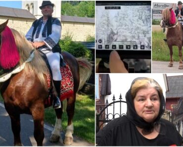 Filmul morţii lui Gheorghe Cenuşă, strivit de cal în timp ce filma un videoclip. Soţie: „Calul a fost viaţa lui şi moartea lui”