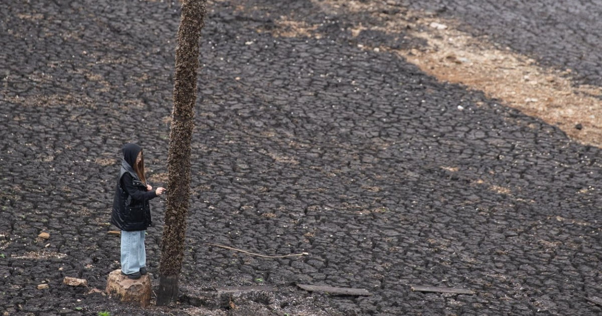 Țara care rămâne fără apă. Avertismentele de ani de zile au fost ignorate, iar acum oamenii beau apă sărată de la robinet