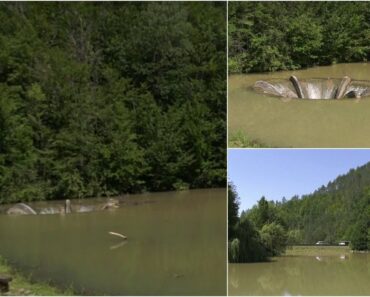 Investiţie de 40 de milioane de lei pentru restaurarea unui lac unic din România. Turiştii, atraşi ca un magnet de această zonă