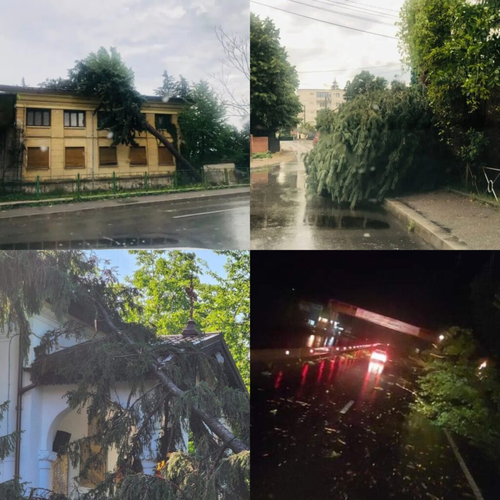 Câmpina, oraş abandonat! Vijelia a scos la iveală gunoiul ascuns sub preş