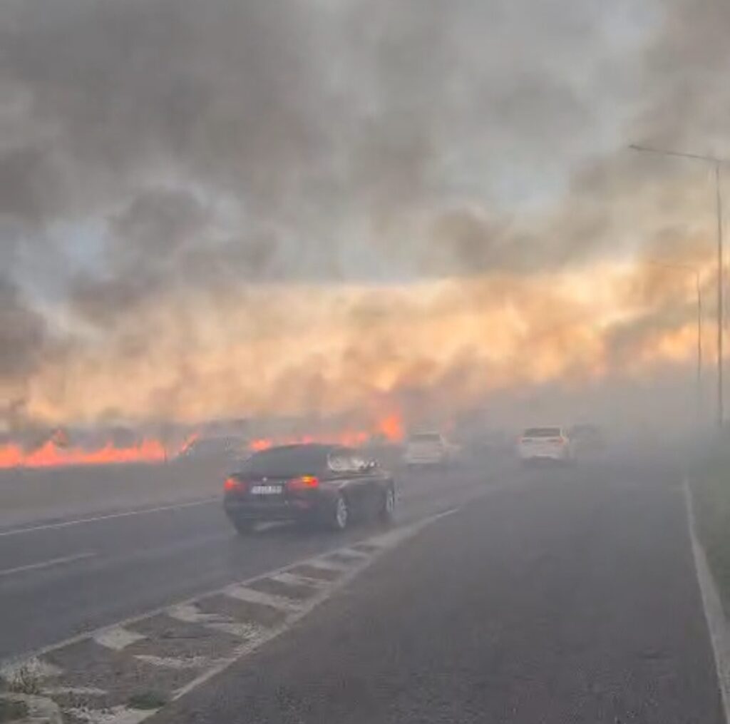 Incendiu uriaş pe câmpul de lângă Centura de Vest, spre Buda. Maşinile nu pot circula din cauza fumului gros