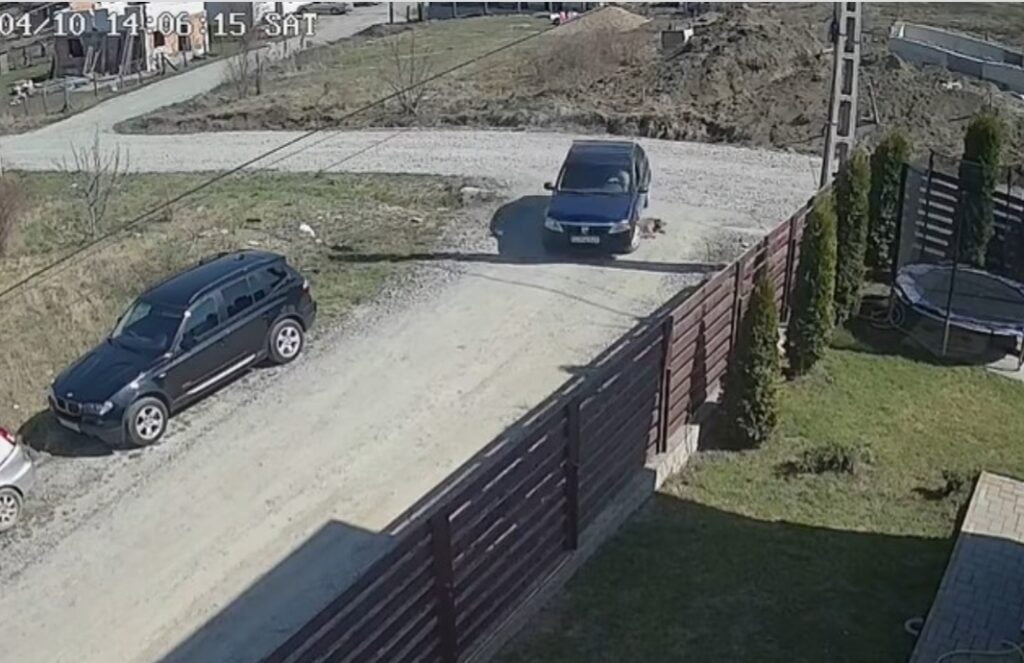 Cruzime fără margini! Un sofer din Gornet a călcat intenționat un câine care dormea pe marginea drumului