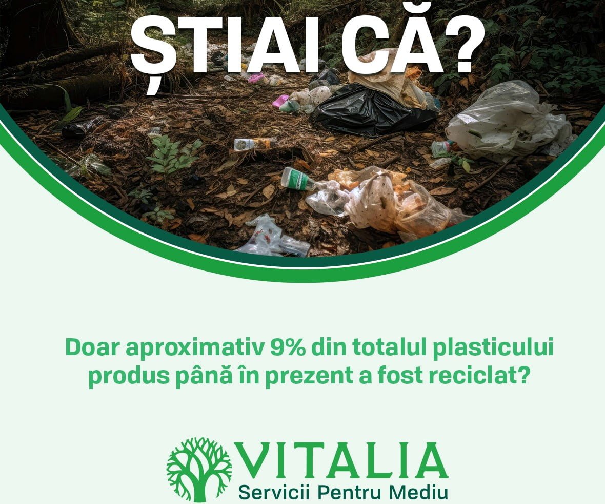 Vitalia Te Învață că fiecare gest contează!