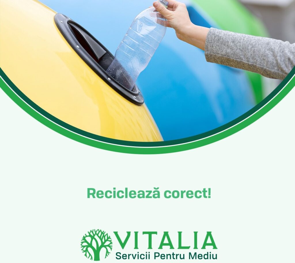 Vitalia : Ai observat culorile containerelor pentru reciclare?