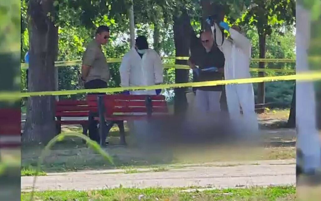 Fata găsită moartă în Mangalia, dusă cu geamantanul în parc: ”Nu avea față deloc”. Incredibil cine a ucis-o