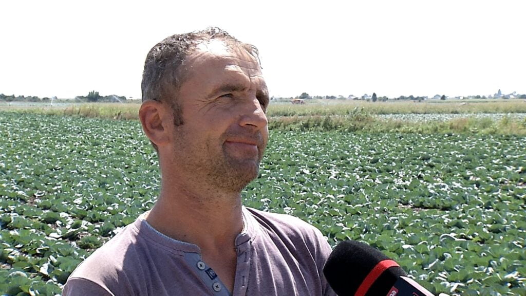 Leguma care îi poate îmbogăţi pe fermieri în acest an. „Părinţii m-au lăsat pe agricultură. Iubesc ceea ce fac”
