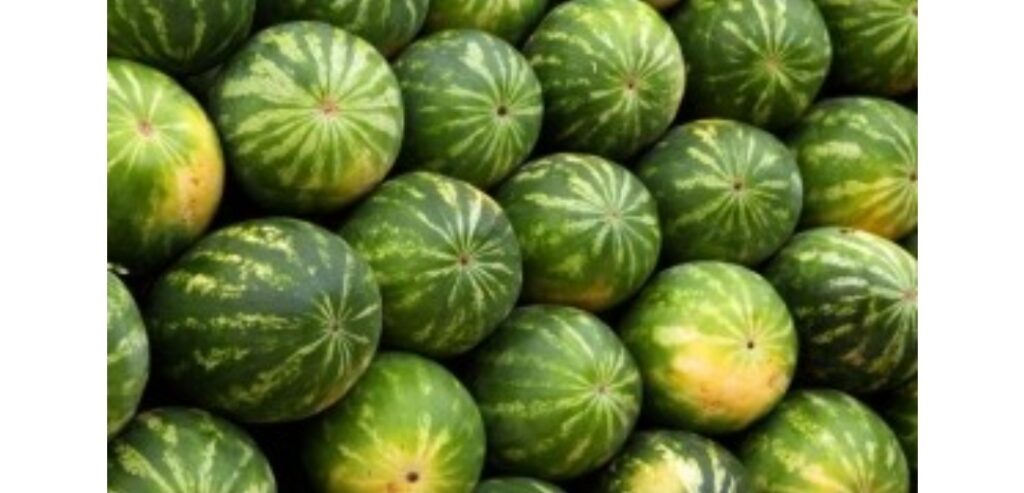 Alertă alimentară în supermarketuri: pepeni stropiți cu un pesticid periculos, vânduți în toată țara