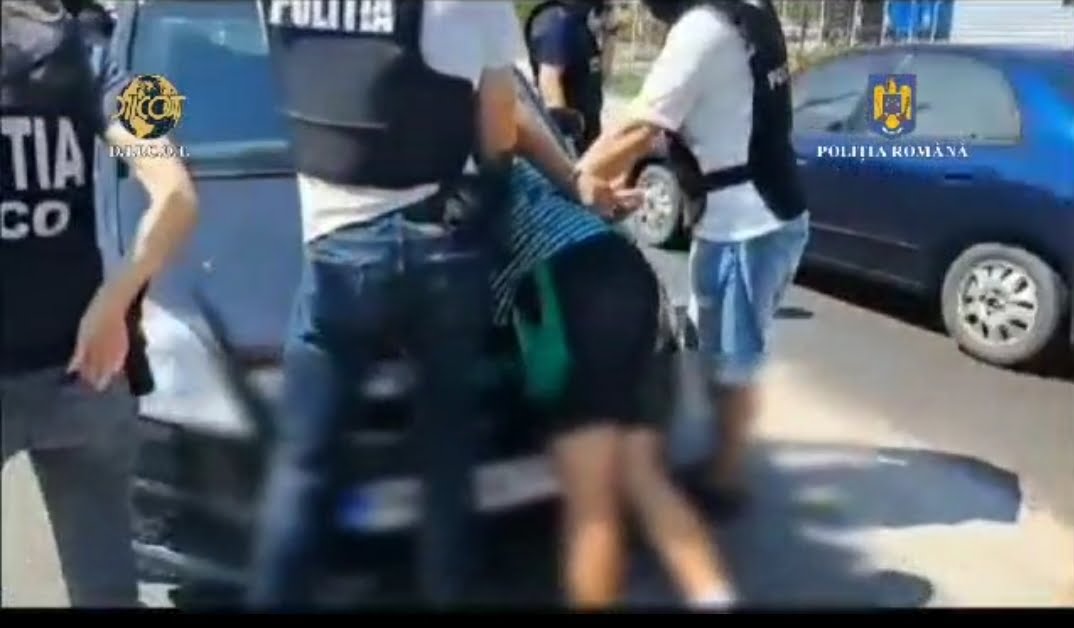 Actiune ca in filme! Traficanti de droguri, prinsi in flagrant, in Ploiesti! DIICOT si BCCO au descoperit o plantatie de canabis intr-o comuna din Prahova