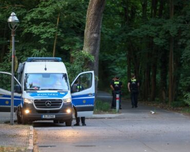 „Era vizibil în stare de șoc”. Un român a dispărut din senin într-o pădure din Germania, apoi a reapărut brusc după 3 ore: n-a ştiut să spună ce-a păţit