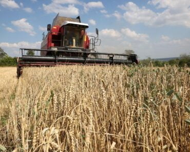 Ucraina ameninţă că dă în judecată ţările UE, inclusiv România, dacă nu vor ridica restricțiile legate de cereale pe 15 septembrie