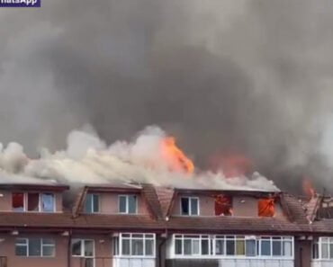 Imagini din blocurile arse din Craiova. Incendiul a fost stins după cinci ore, oamenii acuză că pompierii au ajuns târziu
