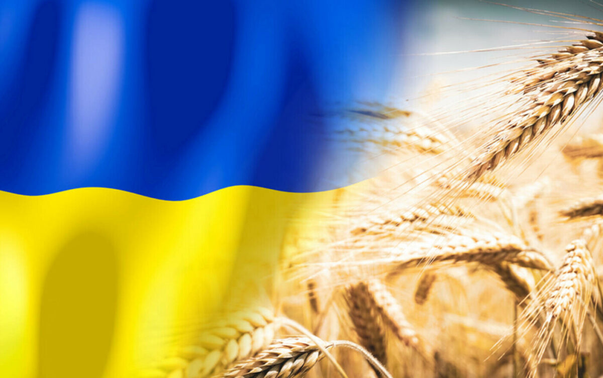 Kievul anunță că va da în judecată trei țări vecine din cauza restricţiilor impuse la importurile de cereale ucrainene