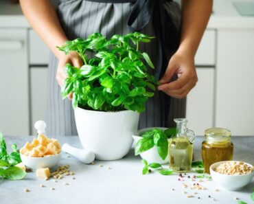 3 plante pe care ar trebui să le așezi în bucătărie dacă vrei să atragi bogăția și abundența în casa ta