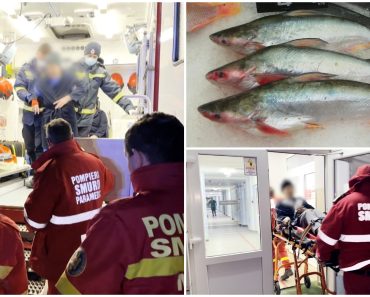 Ipoteză cumplită a anchetatorilor în cazul Murgeni. Cum s-ar explica faptul că măicuțele au mâncat pește pangasius, dar nu au pățit nimic Ipoteză cumplită a anchetatorilor în cazul Murgeni. Cum s-ar explica faptul că măicuțele au mâncat pește pangasius, dar nu au pățit nimic