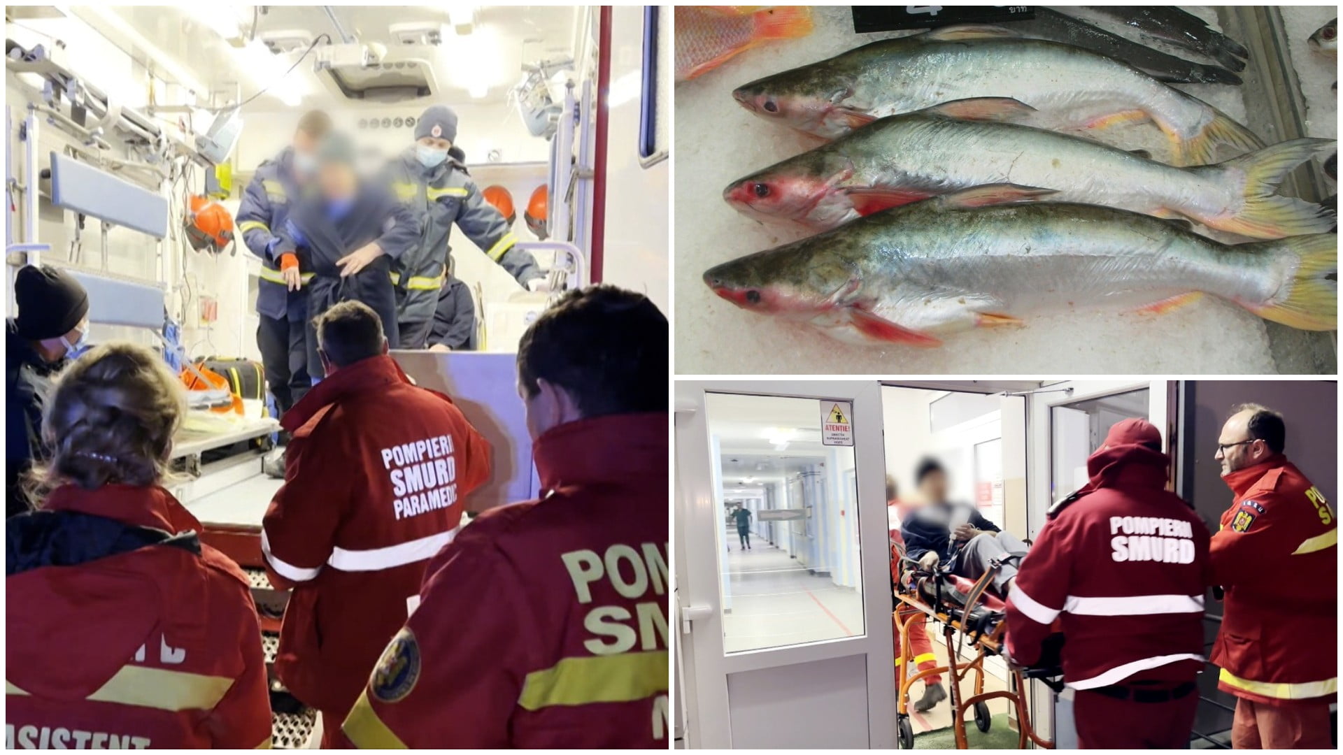 Ipoteză cumplită a anchetatorilor în cazul Murgeni. Cum s-ar explica faptul că măicuțele au mâncat pește pangasius, dar nu au pățit nimic Ipoteză cumplită a anchetatorilor în cazul Murgeni. Cum s-ar explica faptul că măicuțele au mâncat pește pangasius, dar nu au pățit nimic