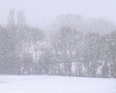 Jumătate din țară va fi sub cod portocaliu și galben de ninsori și viscol. Meteorologii au prelungit avertizările de vreme rea Jumătate din țară va fi sub cod portocaliu și galben de ninsori și viscol. Meteorologii au prelungit avertizările de vreme rea