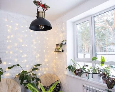 Planta pe care e bine să o ai în casă în timpul iernii! Are beneficii semnificative pentru sănătate 