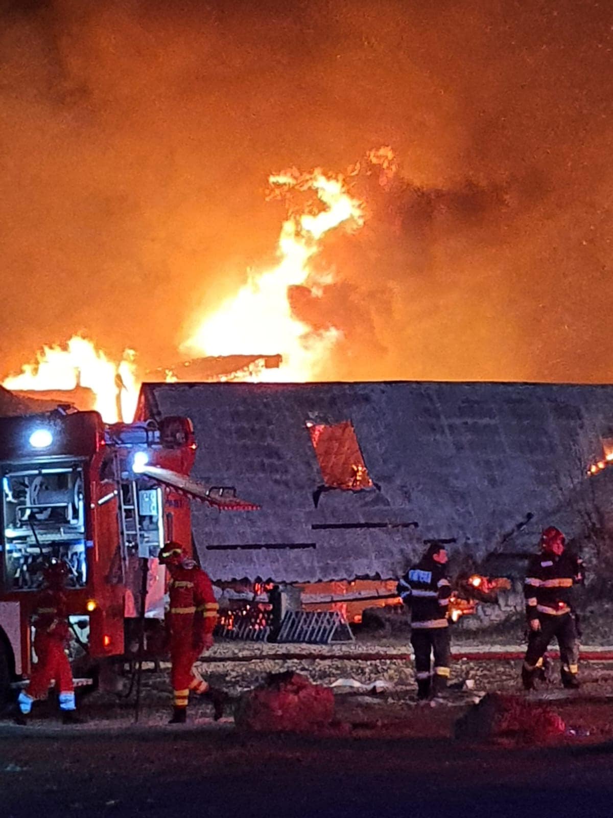 Incendiu devastator la Ferma Dacilor, din Tohani. A fost activat Planul Roșu (VIDEO)