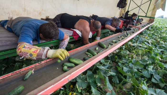 Pe ce se bazează economia! Diaspora a trimis în țară 2,9% din PIB-ul României Pe ce se bazează economia! Diaspora a trimis în țară 2,9% din PIB-ul României