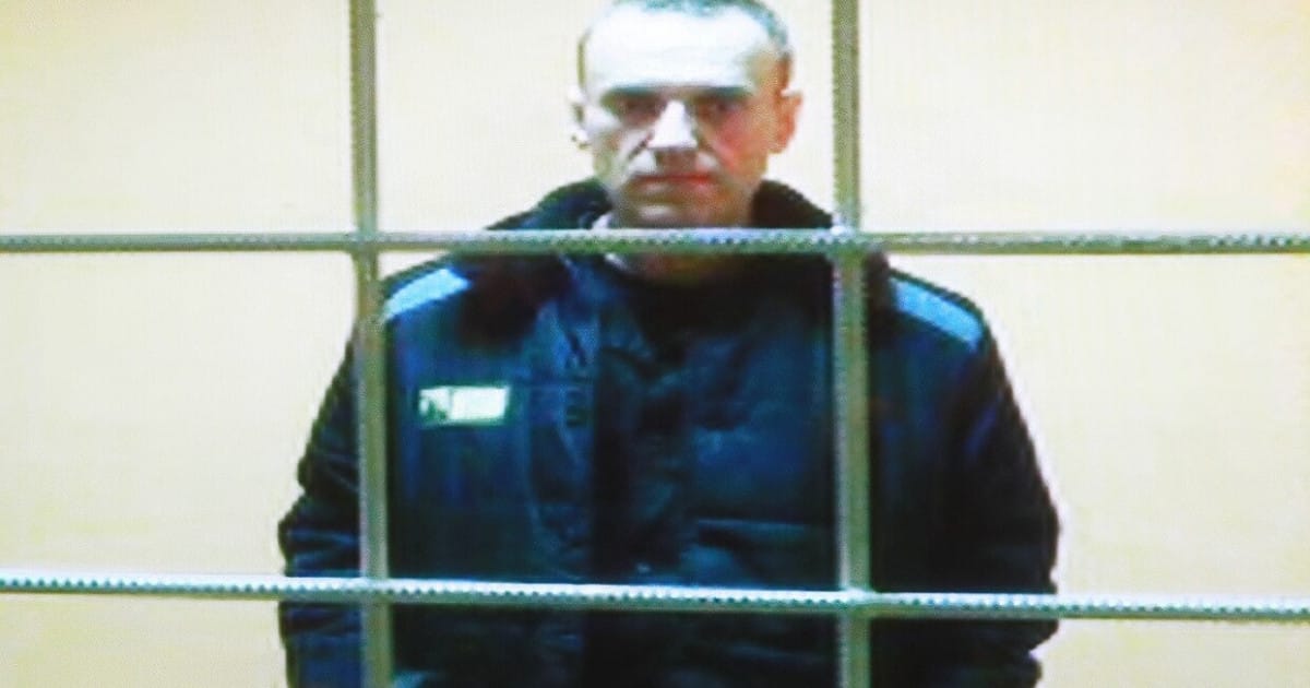 Navalnîi povestește că în fiecare dimineață, la ora 05:00, este forțat să-l asculte pe cântărețul care îl laudă pe Putin
