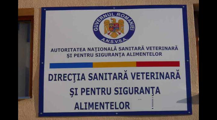Aproape 150 de controale făcute de medicii sanitar veterinari, in Prahova