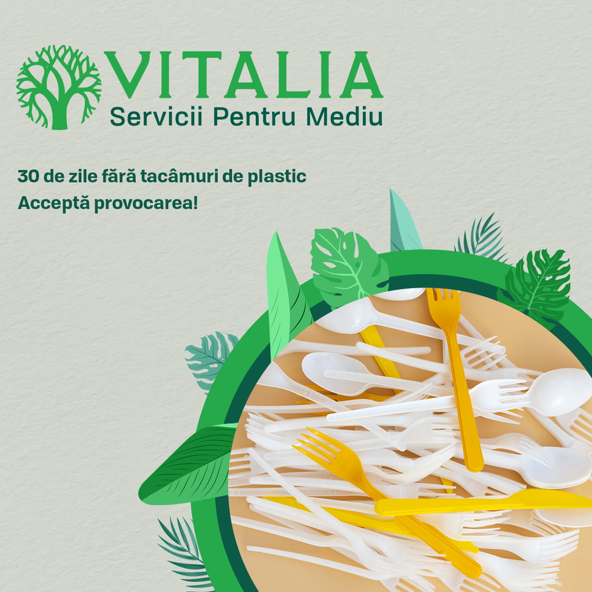 Vitalia : Ce spui de un challenge?  Alege alternative sustenabile și spune adio tacâmurilor de plastic în următoarele 30 de zile!